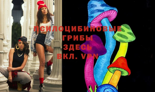mdma Каменка