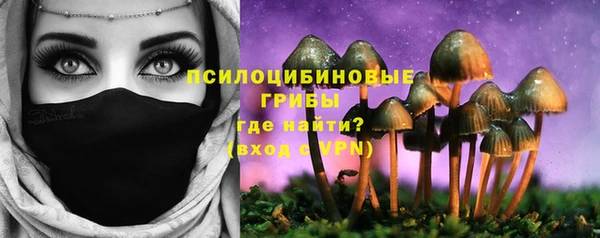 PSILOCYBIN Касимов