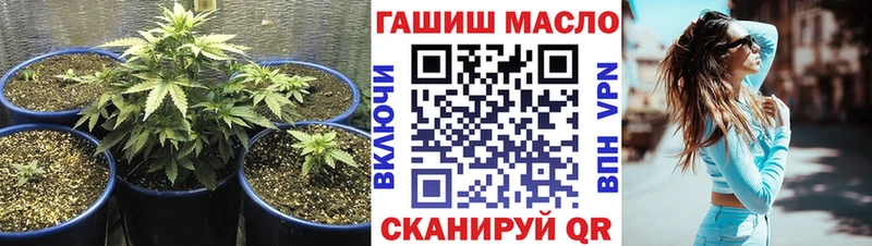Купить где  Жуковка  ТГК Wax 