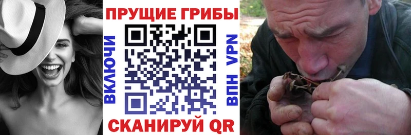 Псилоцибиновые грибы GOLDEN TEACHER  Купить  Жуковка 