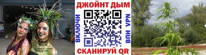 Канабис OG Kush  Купить закладки  Жуковка 
